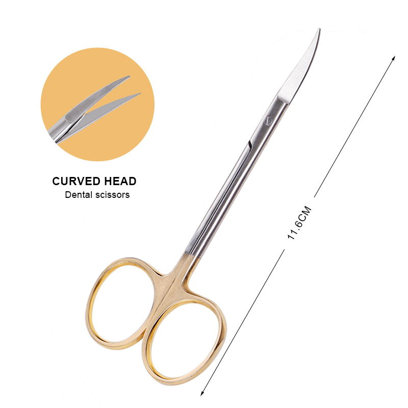 Dental Stainless Steel Medical - đánh giá và giá Hair Care Barber