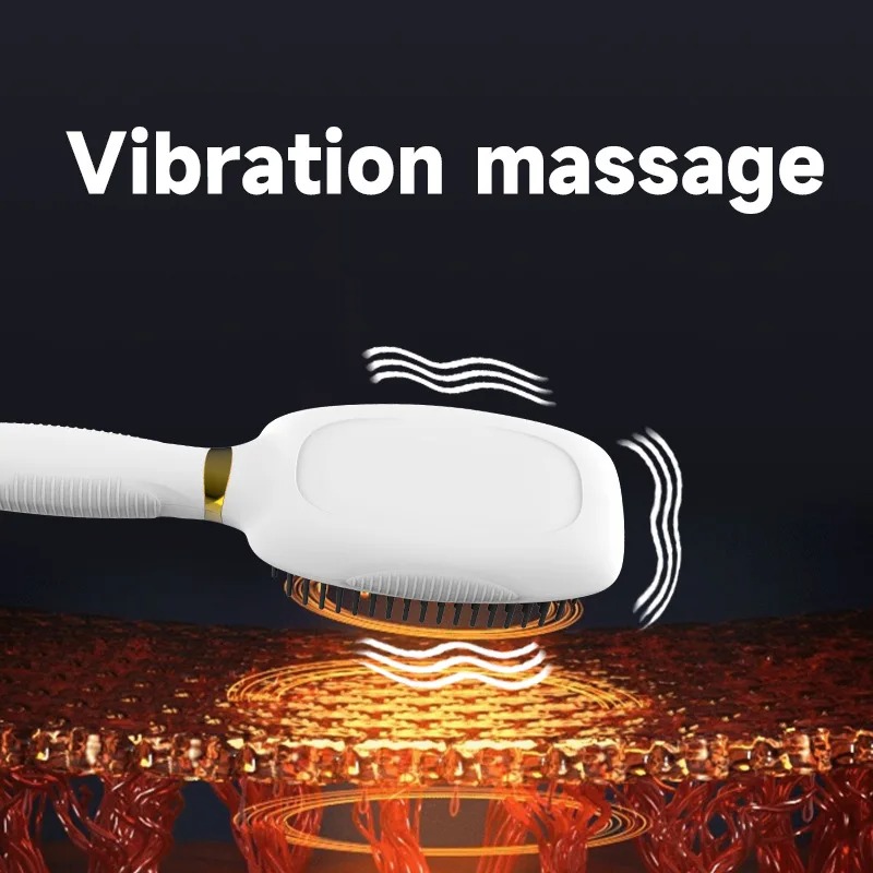 Electric Anti static Hair Comb - đánh giá và giá Hair Care Growth